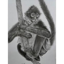 Graphite Monkey Print
