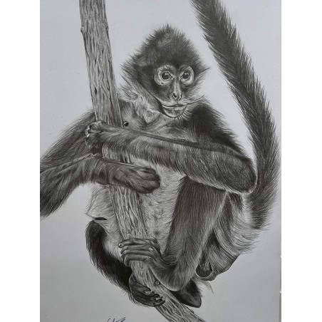 Graphite Monkey Print