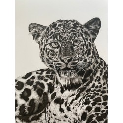 Charcoal Leopard Drawing Print