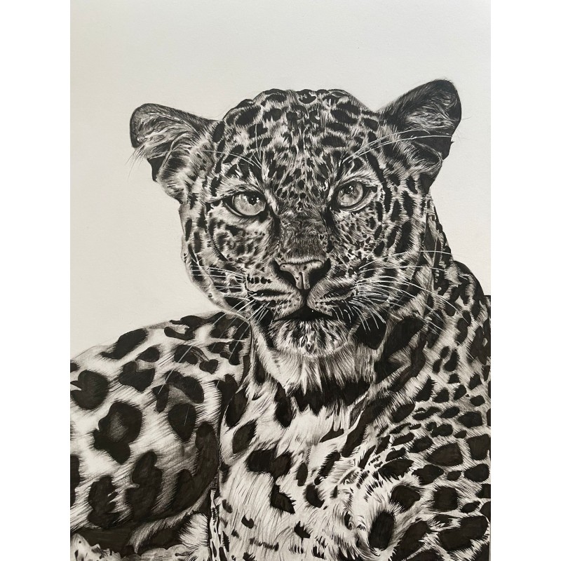 Charcoal Leopard Drawing Print Charcoal Leopard Drawing Print