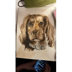 Custom Pet Portrait