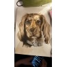 Custom Pet Portrait