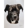 Custom Pet Portrait